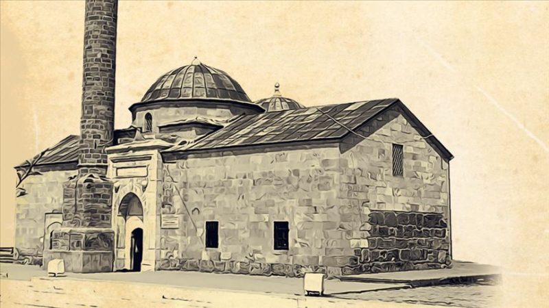 vivano ahilik anlayisi scaled